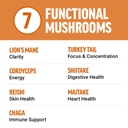 force-factor-modern-mushrooms-soft-chews-3.jpg