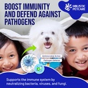 holistic-pet-care-colloidal-silver-for-d-5.jpg