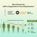 sam-e-supplement-capsule-complex-with-as-2.jpg