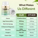 sam-e-supplement-capsule-complex-with-as-4.jpg