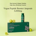 vegan-peptide-booster-ampoule-5000mg-veg-3.jpg