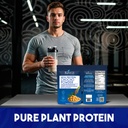 kiwa-chocho-powder-2-pack-complete-plant-5.jpg
