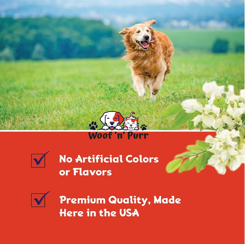 dog-antibiotics-for-infection-coughs-uti-4.jpg