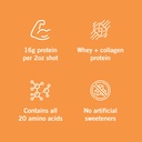 vidafuel-protein-drink-16g-protein-per-2-5.jpg