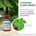 nutramedix-parsley-herbal-supplement-par-5.jpg