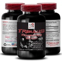 active-energy-formula-tribulus-terrestri-2.jpg