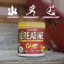 finaflex-pure-creatine-calypso-strawberr-4.jpg