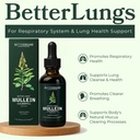 betterlungs-mullein-leaf-extract-and-gum-3.jpg