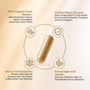 noomost-lions-mane-supplement-organic-ca-4.jpg