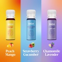 saga-functional-shot-variety-pack-organi-5.jpg