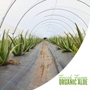 naturae-healthy-organic-aloe-vera-juice--6.jpg