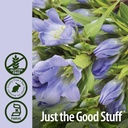 nature-s-answer-gentian-root-low-alcohol-5.jpg