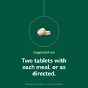 standard-process-zypan-digestive-health--5.jpg