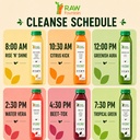 3-day-juice-cleanse-by-raw-fountain-trop-5.jpg