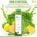 3-day-celery-juice-cleanse-by-raw-founta-5.jpg