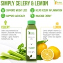 3-day-celery-juice-cleanse-by-raw-founta-4.jpg