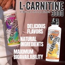l-carnitine-stimulant-free-enhances-ener-6.jpg