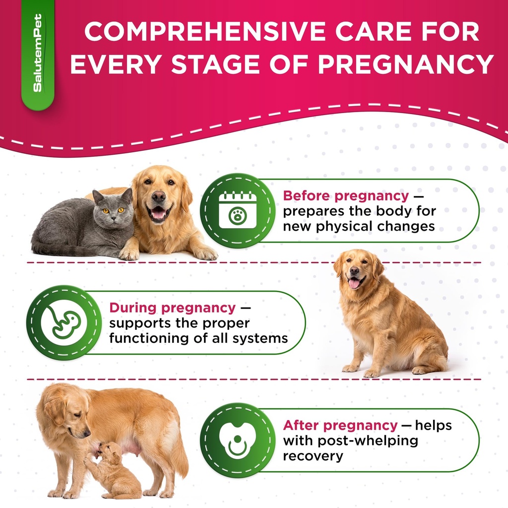 dog-prenatal-vitamins-for-moms-during-la-6.jpg