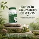 floraviva-rhodiola-rosea-supplement-500m-5.jpg