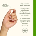 swanson-rhodiola-rosea-root-adaptogenic--4.jpg