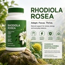 rhodiola-rosea-supplement-organic-adapto-3.jpg