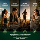 rhodiola-rosea-supplement-organic-adapto-4.jpg