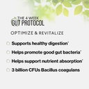 bodi-gut-health-supplements-4-week-gut-p-4.jpg