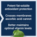 life-extension-ascorbyl-palmitate-500mg--4.jpg