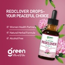 greenherbvibe-red-clover-herb-extract-dr-6.jpg