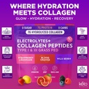 keto-vitals-collagen-powder-for-women-pl-2.jpg