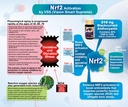 vision-smart-supreme-superior-eye-supple-3.jpg
