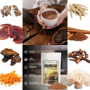 surge-5-mushroom-cocoa-drink-reishi-mait-6.jpg