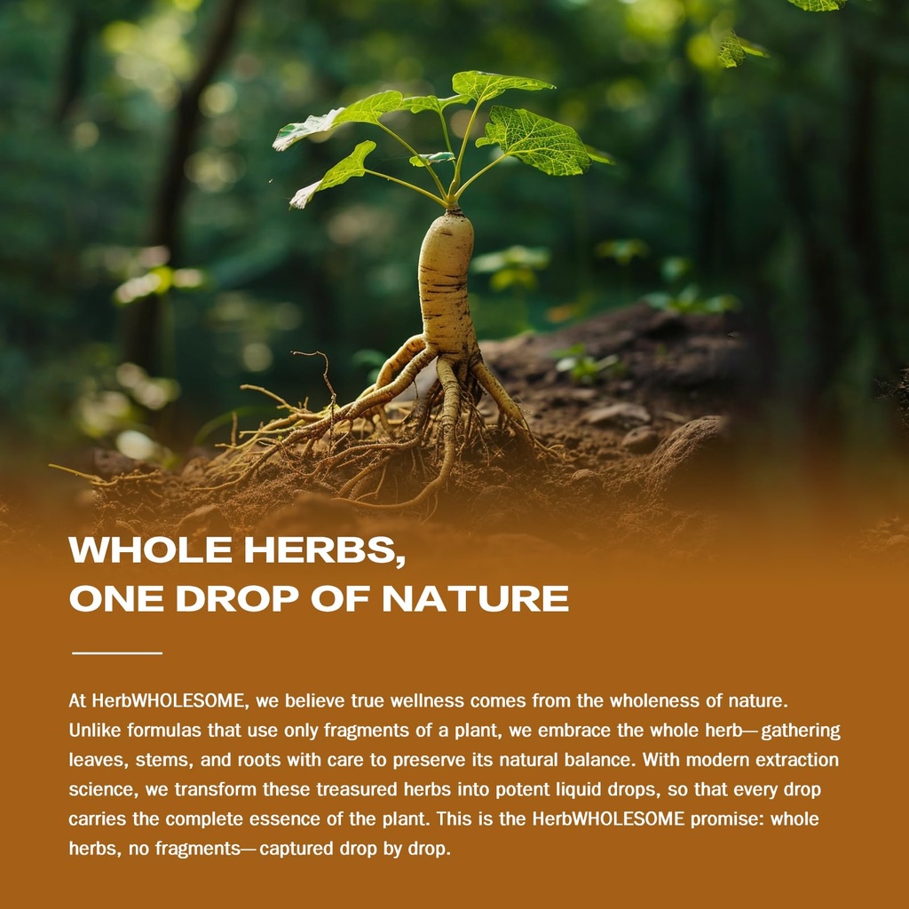 ginkgo-biloba-extract-liquid-drops-for-b-6.jpg