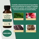 nuflos-lymphatic-drainage-drops-lymphati-4.jpg