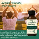 nuflos-lymphatic-drainage-drops-lymphati-5.jpg