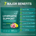 lymphatic-drainage-supplements-lymph-sys-5.jpg