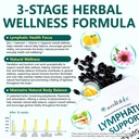 lymphatic-drainage-supplements-4275mg-he-5.jpg
