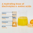 nativepath-hydrate-electrolyte-stick-pac-6.jpg
