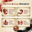 herbs-xiao-yao-wan-free-easy-wanderer-tr-3.jpg