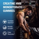 1-pack-creatine-hmb-monohydrate-gummies--5.jpg