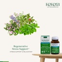 kokora-regenerative-stress-support-regen-3.jpg