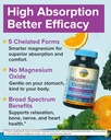 terranics-5-in-1-magnesium-complex-suppl-3.jpg