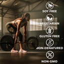 fantastic-nutrition-chocolate-3-in-1-gra-4.jpg