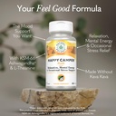 natural-balance-happy-camper-plus-suppor-3.jpg