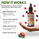 relify-naturesecrets-b12-b6-b1-liquid-dr-4.jpg