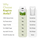 kapiva-amla-powder-8-oz-indian-gooseberr-4.jpg