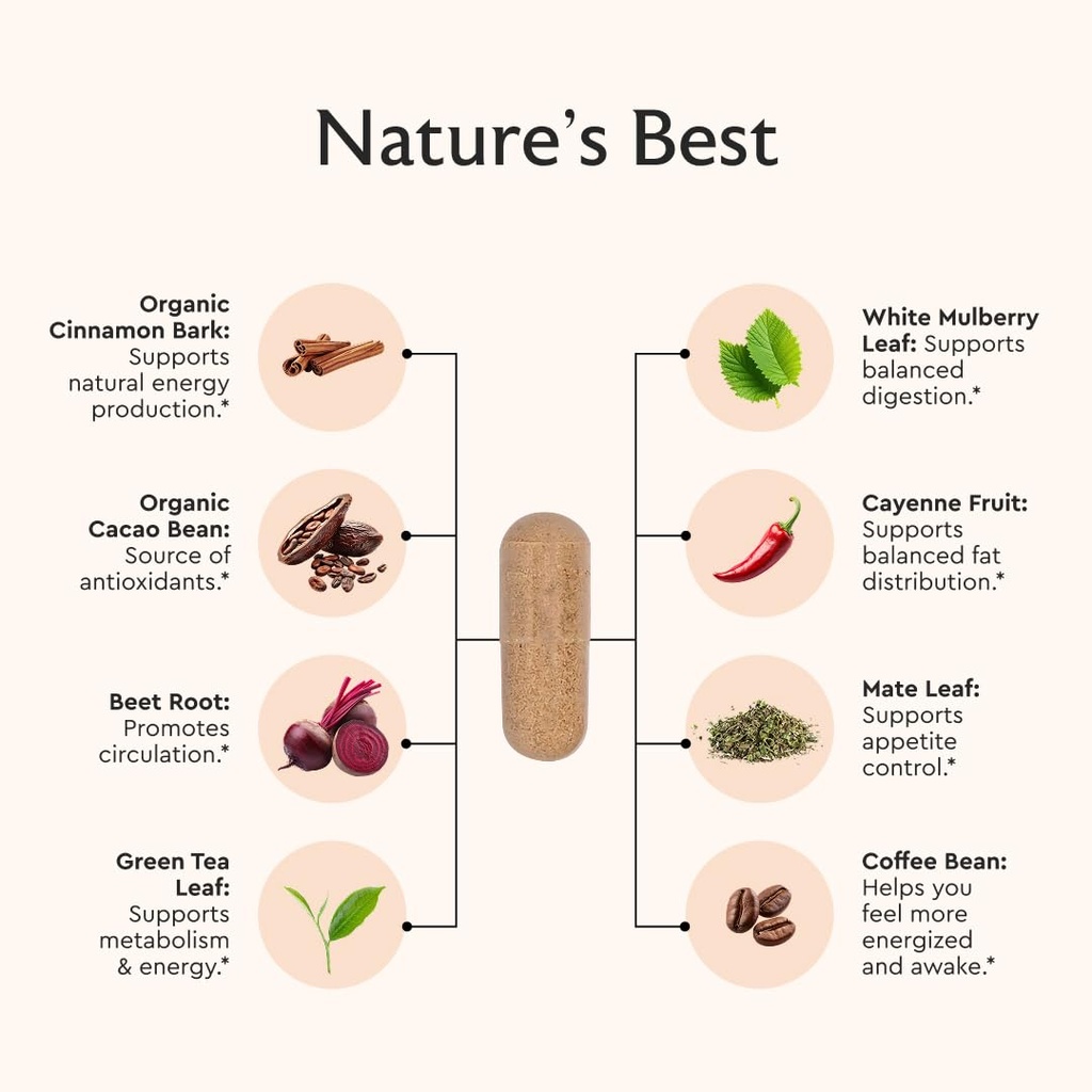 alaya-naturals-metabolism-natural-energy-3.jpg