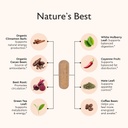 alaya-naturals-metabolism-natural-energy-3.jpg