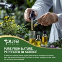 wormwood-extract-drops-infused-with-blac-5.jpg