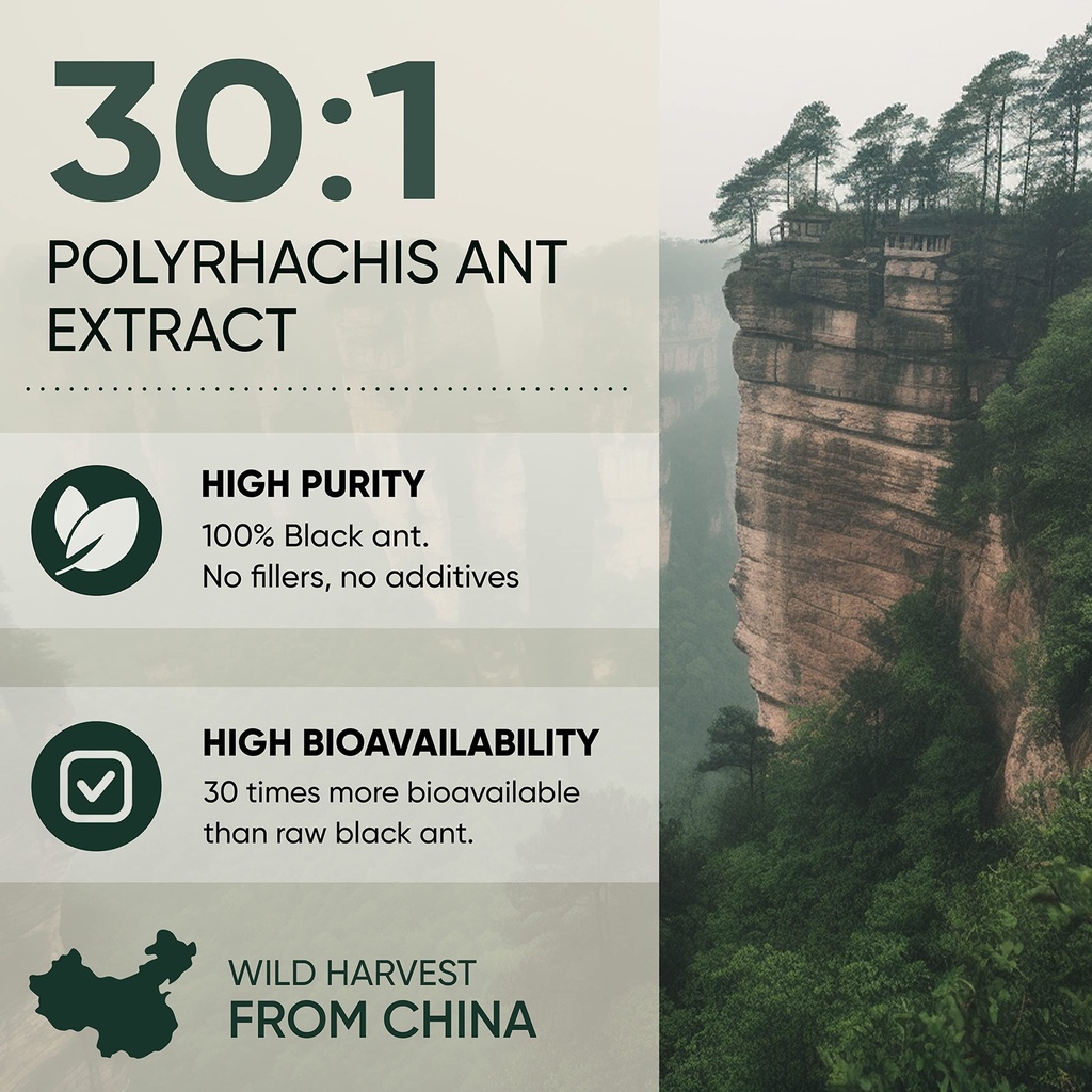 jungle-powders-fadogia-agrestis-powder-f-6.jpg